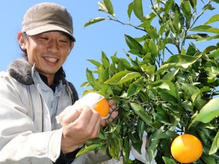 JA農業研修生