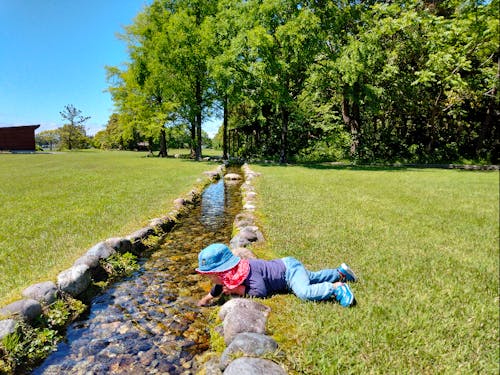 お隣、入善町のスギサワの沢スギ!自然と遊べるところがいっぱい