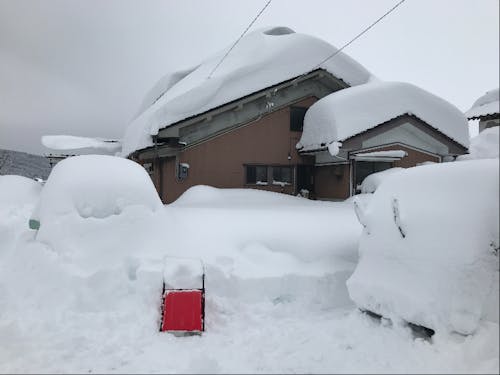 大雪の日!雪国での暮らしについてもお話しします