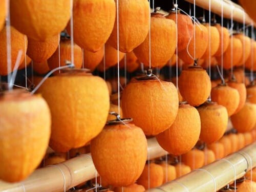 南砺市は干し柿の産地として全国的に有名です!