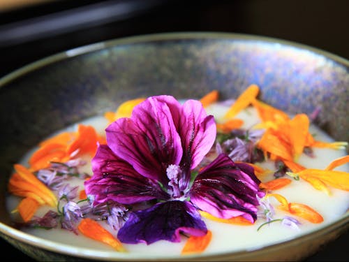 初夏の花で彩ったジャガイモのポタージュ