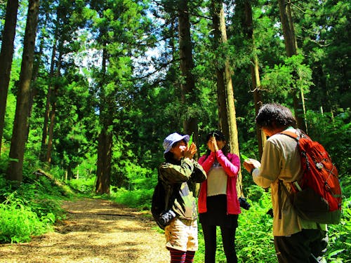 飯南町　森林セラピー