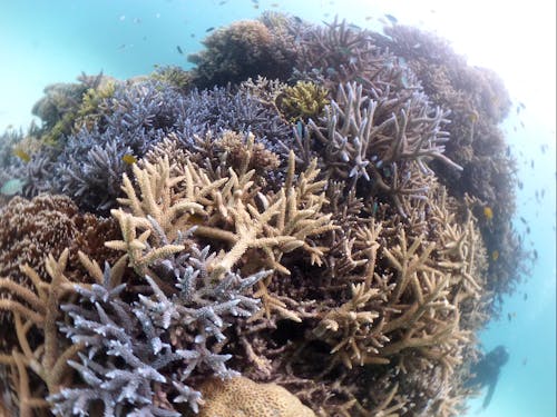 沖縄という環境を楽しむ