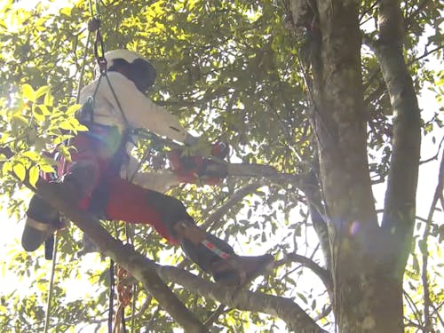 「自然の中で体を動かして仕事ができるのが魅力」と話す山本さん