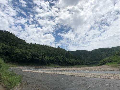 近くの川。大淀川の支流