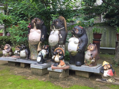 高松市には狸伝説が多いんです