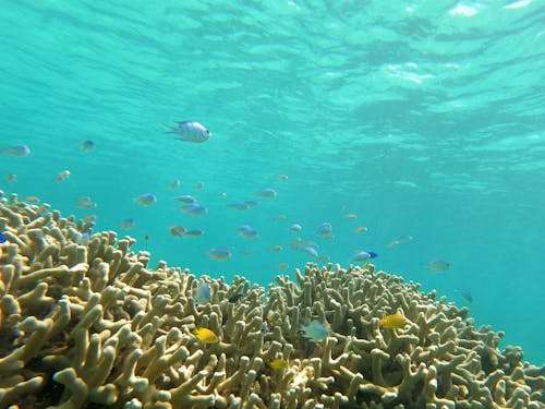 海は穏やかに迎えてくれます。