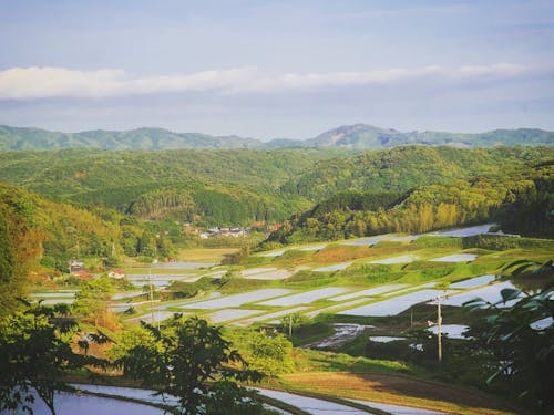 【宇部市】廃校を活かして、竹の利活用について発信する竹ラボ事業もスタート