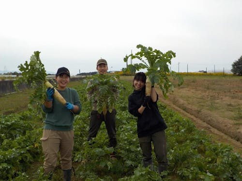 カレッジ研修生