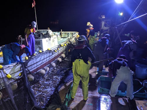 定置網漁の風景