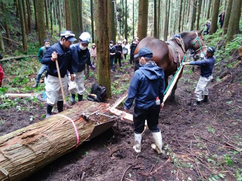 林業の再興も大きな課題です。