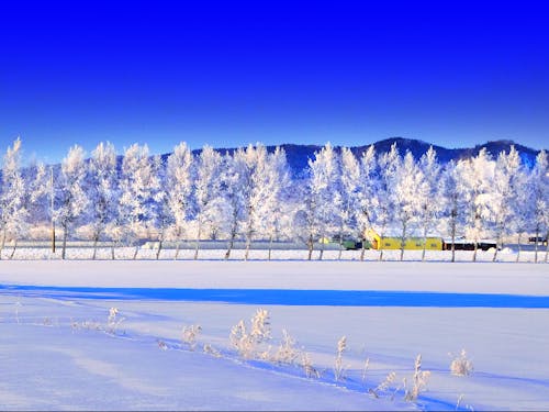 冬の栗山町の風景