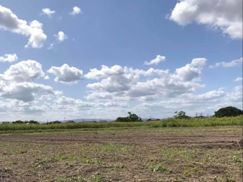 巨大な畑あります!何育てます?