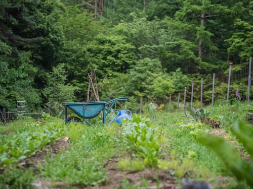 自分の手で作りだす喜び