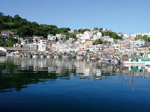 和歌山市雑賀崎