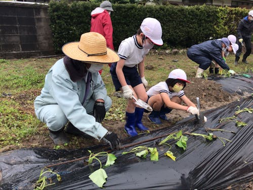 「芋植え」 高齢者の方のご支援!