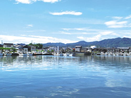 漁業、農業の盛んな自然豊かな町です！