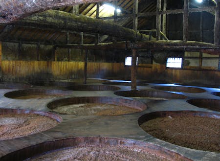 100年以上現役の木桶醤油が並ぶ醤油蔵