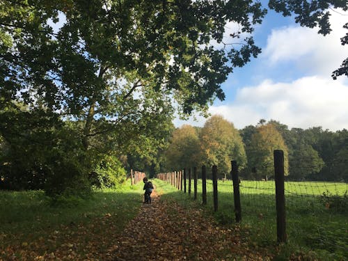 子供との外遊びはオランダの移りゆく季節の変化を感じる絶好の機会。自然の中にどっぷり浸かる。平日でも子育てするパパの姿が日常的