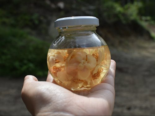 森の中でティンクチャーづくり