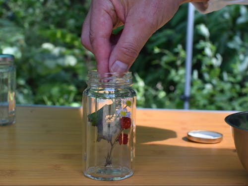 瓶にお好きな植物を詰めます。